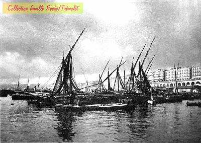Alger-LT-03