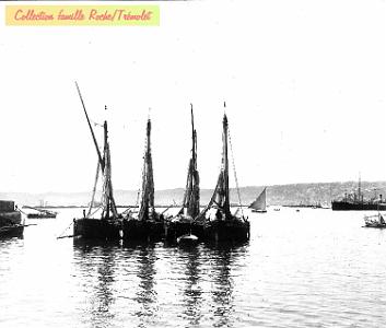 Alger-LT-04