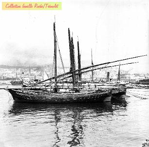 Alger-LT-07