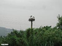 Oued-Ksari-02