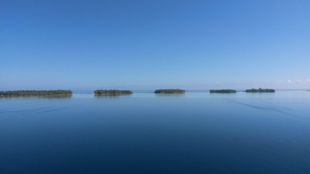 11 - Tahaaa - motus.jpg - User comments