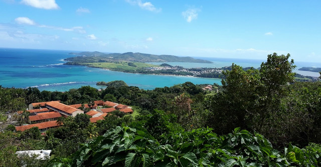 caravelle.jpeg - Caravelle