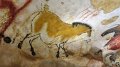 Lascaux (21)