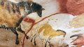 Lascaux (28)