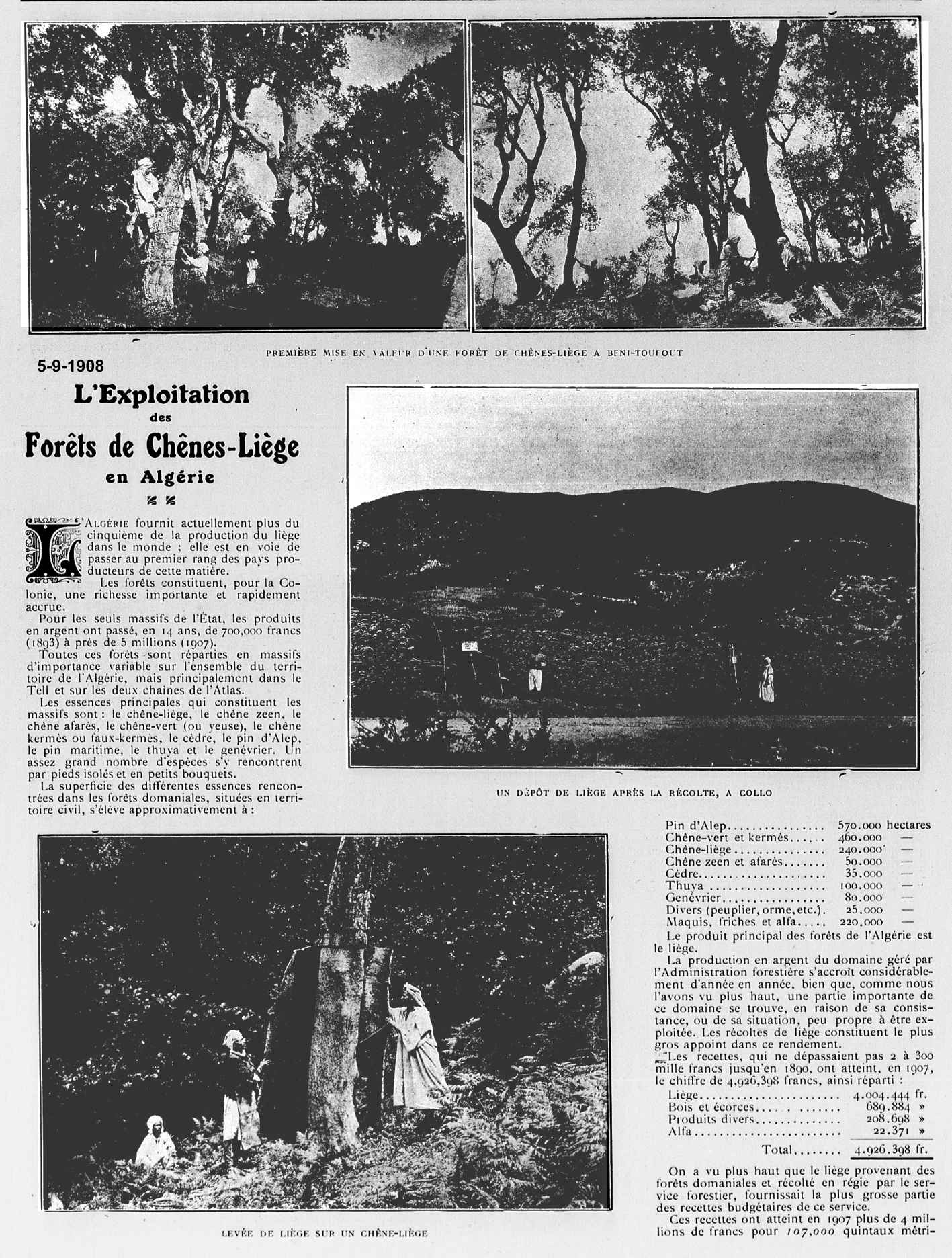 L'Exploitation des Forêts de Chênes-Liège en Algérie
