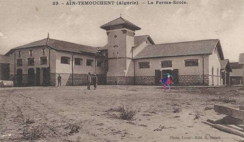 ain-temouchent,la ferme-ecole