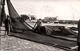 Le Rowing-Club d'Alger 