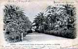 parc landon, biskra