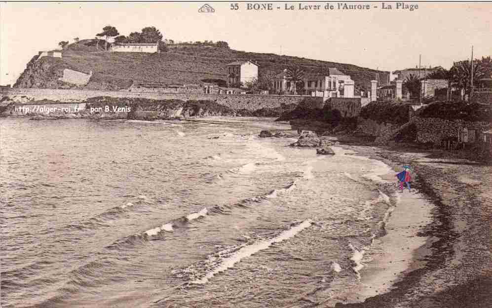 bone,le lever de l'aurore,la plage