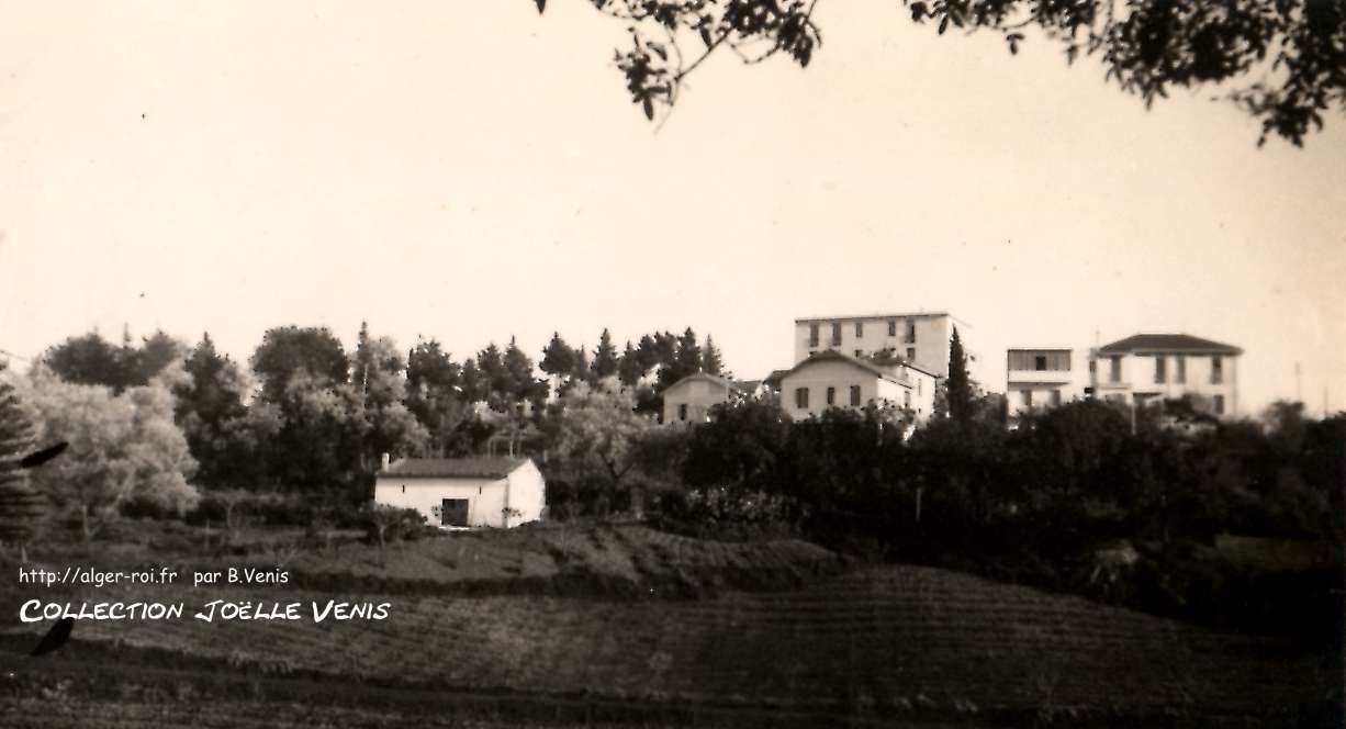 VUE DE BOUZAREAH - ROUTE d'EL BIAR