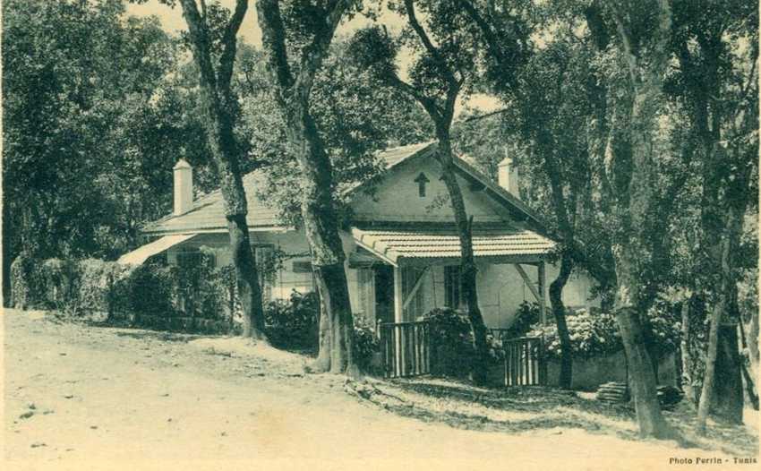 bugeaud,une maison de la cité violette