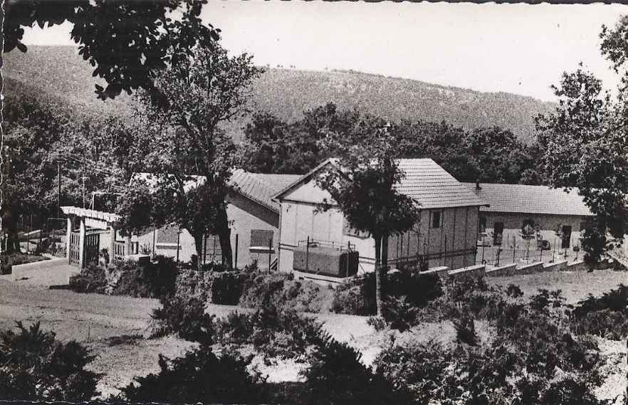 La colonie des Douanes