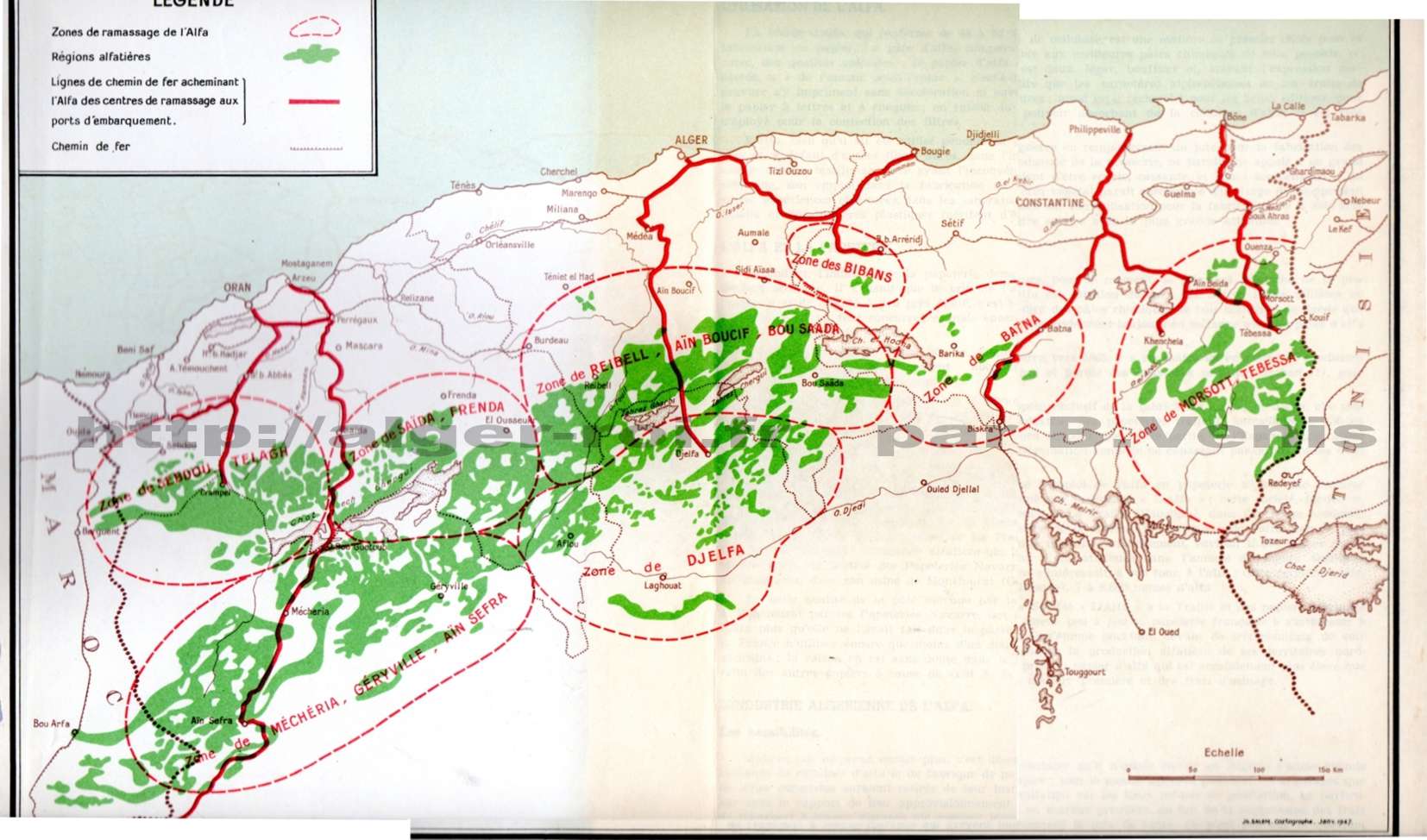 L'alfa en Algérie