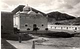 zaouia