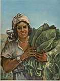 Agriculture