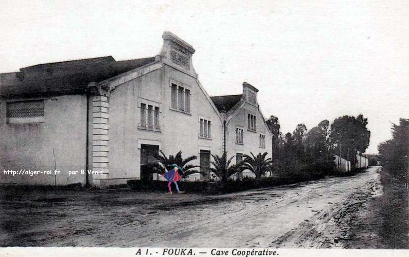 Cave coopérative,fouka