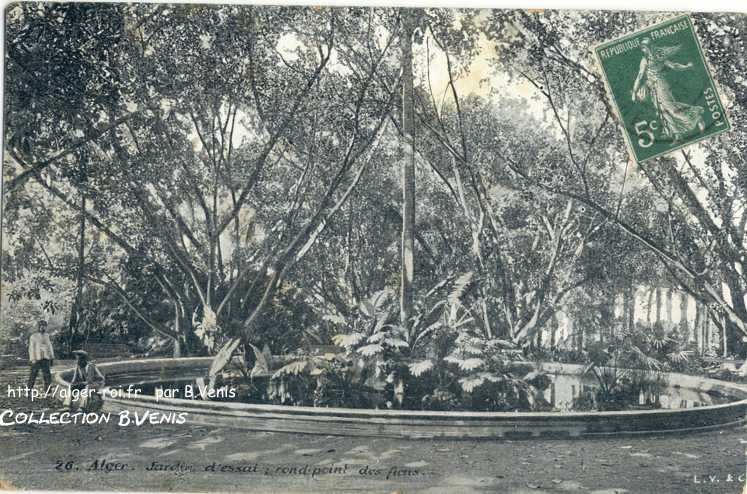 Rond point des ficus,jardin d'essai