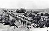 AVENUE des PALMIERS 