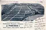 Chemin Laperlier,établissement horticole Porcher