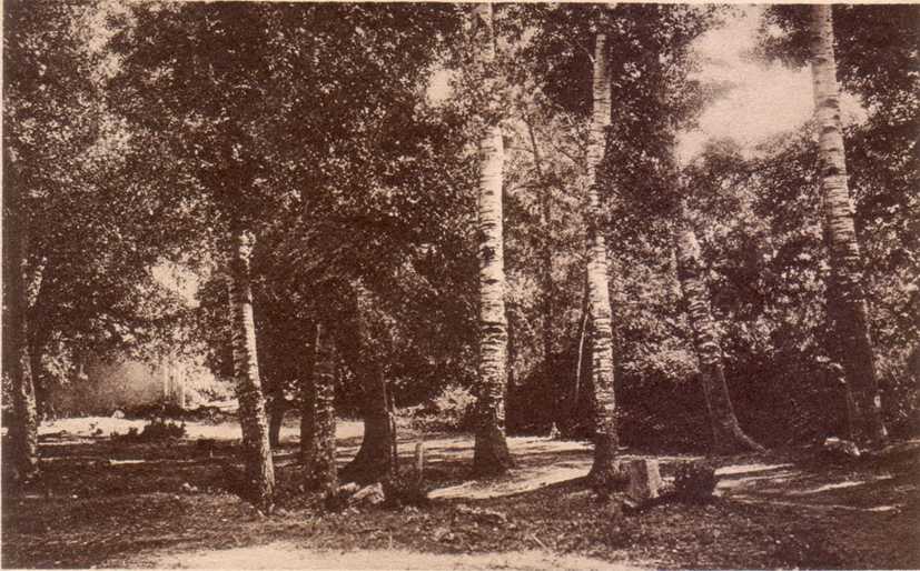 Route vers Boghar ( ou venant de Boghar !)
