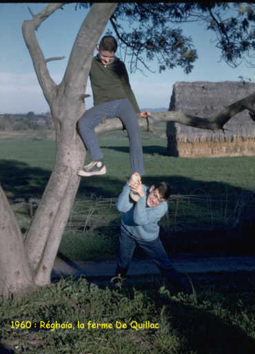 Descends de là, Réghaïa, 1960