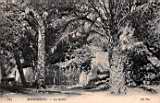 La grotte , Notre Dame de Lourdes