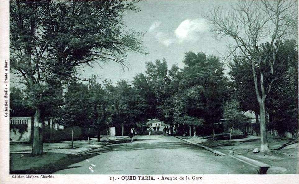 oued-taria,taria,l'avenue de la gare