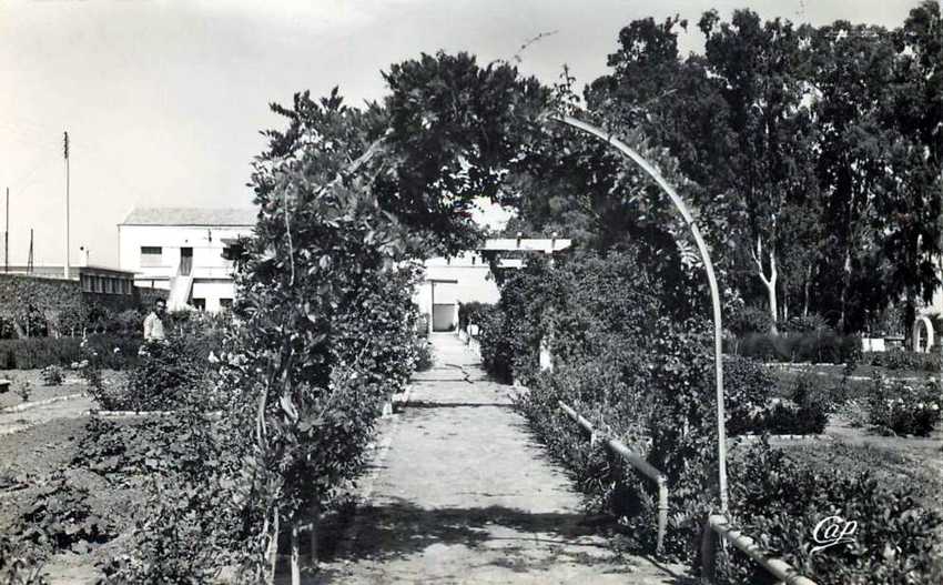 palikao,les jardins d'experimentation du CCEA