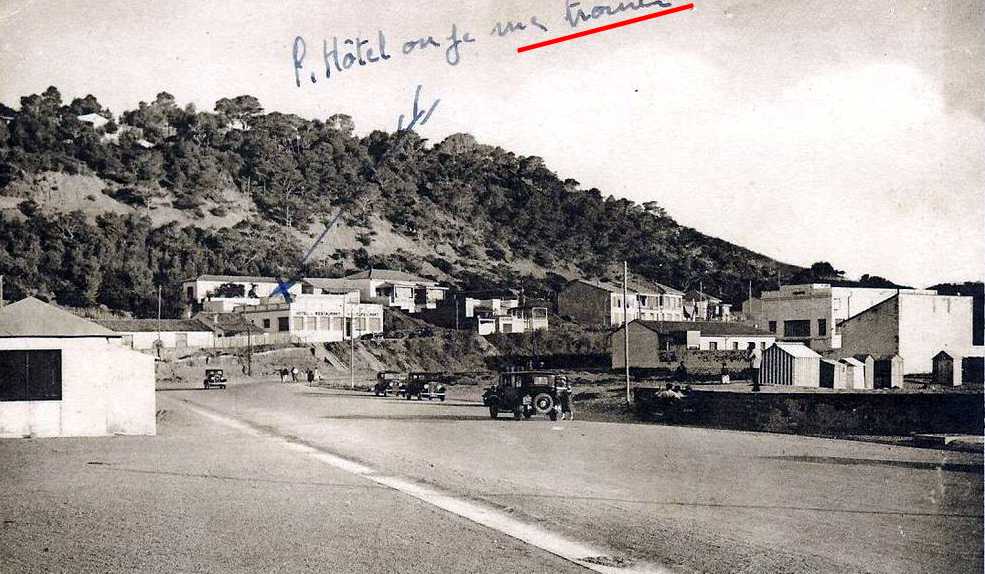 tenes,les villas et la foret