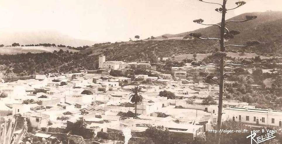 Le vieus Ténès