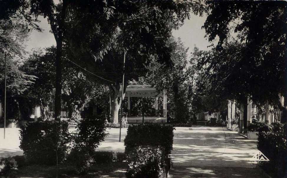 teniet-el-haad,le square