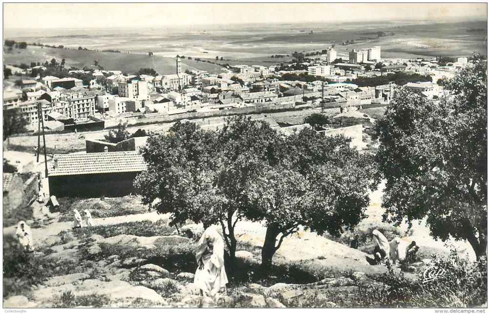 VUE GENERALE