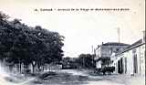 tipasa,avenue de la plage et monument aux morts
