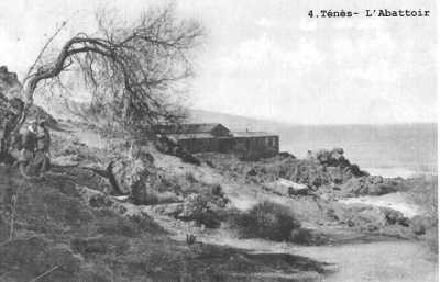 L'Abattoir
Photo prise au-dessus 
de la petite plage du 
"Rocher de Reich"