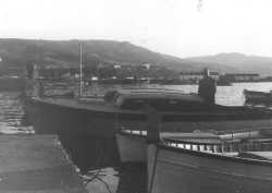 le bateau "VENUS"
de la Famille CAMILLERI
en 1960
