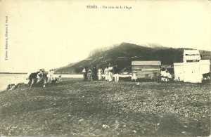 1910
Carte postale
de la Plage de TENES