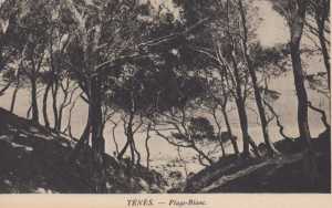 Carte postale de la Plage Blanc
