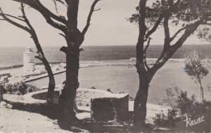 Carte Postale du Port
vu des Canons