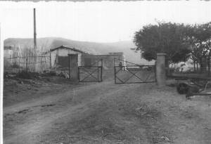 Highlight for Album: La FERME