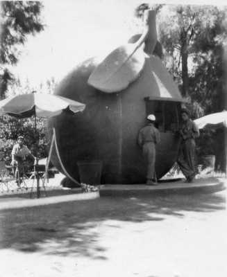 L'orange en 1954