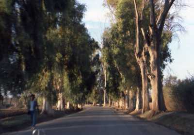 LAMARTINE
Route d'Oued Fodda