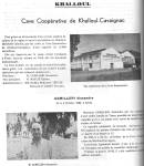 Highlight for Album: Les CAVES AGRICOLES