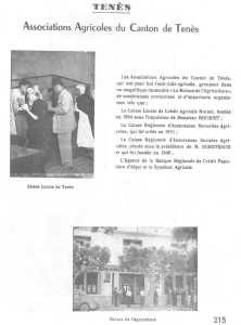 Associations Agricoles
de TENES