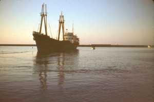 Le 1er cargo
"VILLE de TENES"
dans le bassin du port