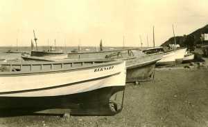 le petit Port