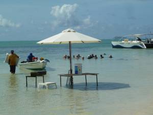 Highlight for Album: Ile Maurice 2012