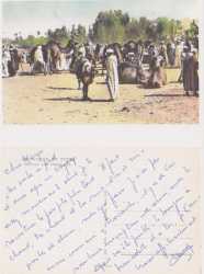 Carte de Claude Dalibon 
parti enseigner au Sahara