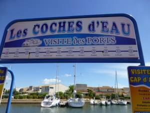 Highlight for Album: De MONTENOTTE au CAP d'AGDE  Le parcours de Rh&eacute;ira  BENTA&Iuml;FOUR