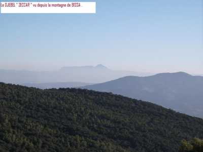 le ZACCAR (Miliana)
vu depuis le BISSA