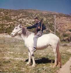 TENES - Novembre 1959 
----
Crescent PEREZ fils (Petit Crescent)
Sur une bien belle monture